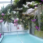 Chateau Bleu ホテル