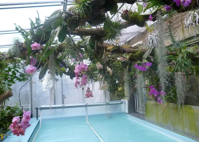 Chateau Bleu מלון